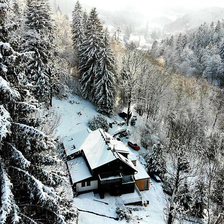 Apartmán Jizerina Bedřichov Exteriér fotografie